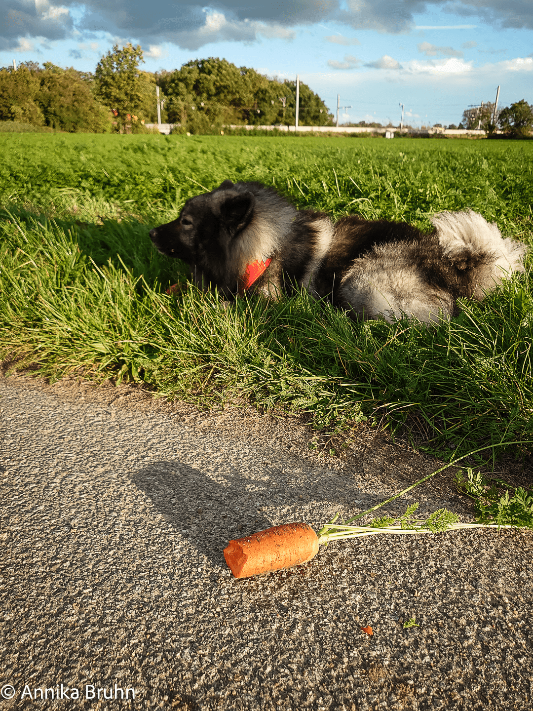 Mh frischer geht es nicht